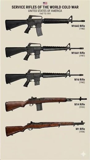 "How America's Battle Rifle Evolved During the Cold War 🇺🇸 #Shorts"