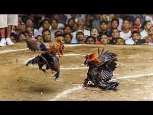 Talpak Live ! - Tra samahan niyo ako mag bet mga bossing