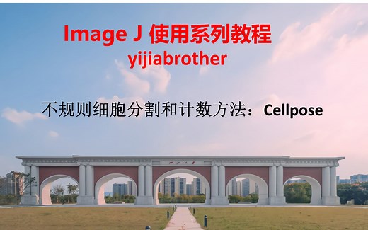 48.不规则细胞分割和计数方法：Cellpose