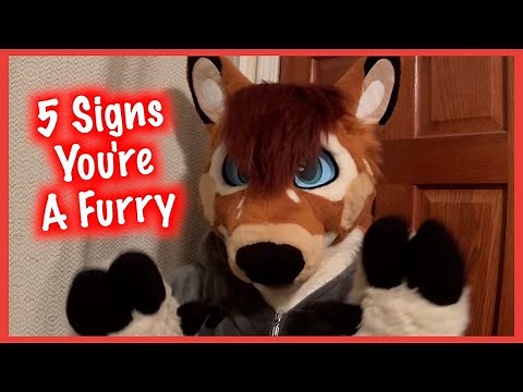 5 Signs that you're a Furry!