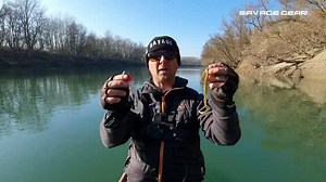 11K views · 299 reactions |  NEW MASTERCLASS   Which colours should you pick for #zander fishing?   Daniel Dalien explains his tactics in the latest #masterclass on our website!  https://savage-gear.com/ #savageworld #savagegear #clubsavage #lureswithanattitude #zanderfishing #lurechoice #lurecolour | Savage Gear | Facebook