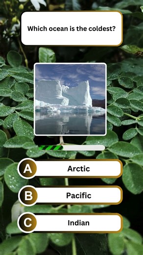 Fantasy Quizer Series Part 149 – Your choice decides everything