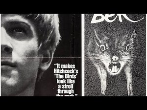 one pound fish meme (dandys world finn)