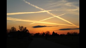 Biodigital Convergence, Sabrina Wallace, Juxta & 7G MESH Network