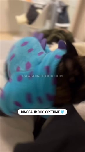 Cozy & Fun Winter Jumpsuit 😍 | Frenchies Community