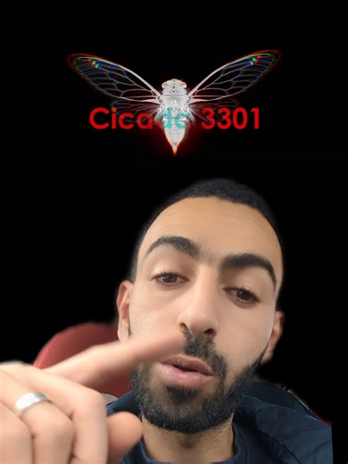 Understanding the Mystery of Cicada 3301