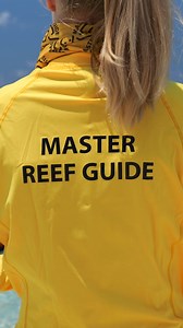 Behind the Scenes look at the training… Training to become a Master Reef Guide is a journey where what you put in directly shapes what you get out. It’s not just about attending classes; it’s a blend of self-study, networking, listening, and learning from peers, all while making the most of every opportunity to participate and share. It’s about being honest with yourself and acknowledging gaps in your knowledge and skillset, and being open to growth. As learning doesn’t stop when training school