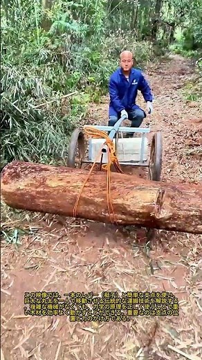 田舎の画期的な発明：一人の男が巨大な木材を楽々と移動させる方法：てこの原理をマスターして、深い森の中での木材運搬を楽々こなす