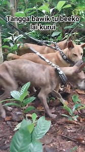 34K views · 272 reactions | Laga mode ka iyo | RodYank Channel | Facebook