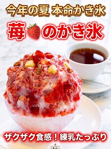 苺のかき氷 長野｜パティスリー平五郎 本店の夏限定メニュー