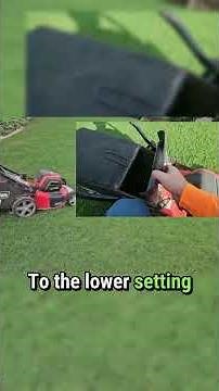 Wet Lawn Woes: How to Mow Like a Pro After Rain ☔