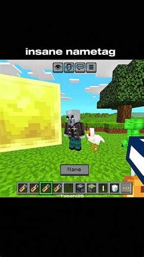 minecraft insane nametag moment