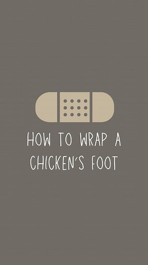 Katie Krejci, RD | The Homesteading RD | Chicken foot injuries are inevitable if you own chickens! Chickens are busy creatures who love spending their day scratching, pecking and... | Instagram