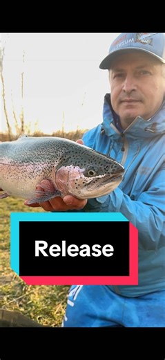 Catch and Release Techniques Explained