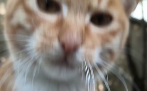 sorry啦，我不熟悉的技术把你吓到了