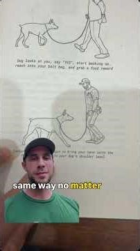 Leash Training Manual