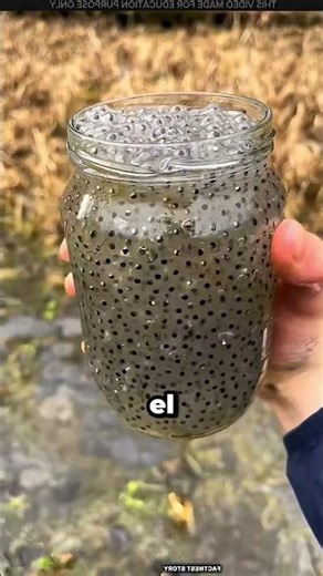 Nunca Toques Estas Burbujas En El Agua 😱🐸