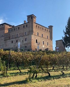 From Milan to Mount Vesuvius, over 310,000 wineries dot Italy’s hills, valleys, and plains. With all that selection, you might be wondering, “Where are the best wineries in Italy?” See the top 5 can’t-miss wineries in Italy here: https://bit.ly/3dfWmPz | EF Go Ahead Tours