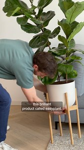 Transform your space with easyplant's self-watering plants, that you only need to fill ONCE a month! 🪴 Green thumb not required 👍🏼 | easyplant