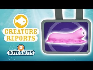 Octonauts - Creature Reports | Slimey Sea Creatures