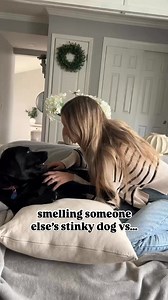 30K views · 379 reactions | Smelling someone else’s stinky dog vs your own stinky dog #dogs #dogsofinstagram #dogsoffacebook #funnydogs #cutedogs #blacklab #labrador | Theblacklabradorpoppy | Facebook