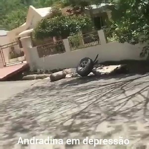 1K views · 11 reactions | Se precisar remover seu veículo é só chamar o João do Guincho. 藍 | Brazil blue | Facebook