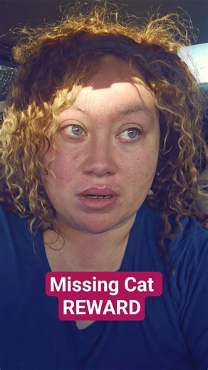 #MissingCat #vanlife #quartzsite #arizona #laposasouth #missing #rescue #reward