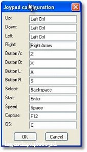 Game Boy Emulator Computer With Cheats
