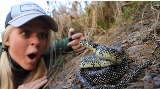 Anglers discover America’s most beautiful snake in wild terrain