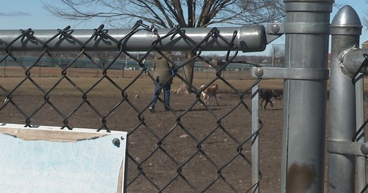 North Tonawanda dog control officer provides tips to break up dog fights