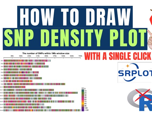 如何使用SR绘图网站绘制SNP密度图 / How to draw SNP density plot using SR plot website