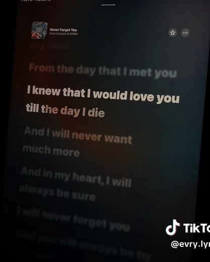 Never Forget You lyrics - Zara Larsson & MNEK