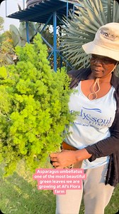 #asparagusumbellatus when we incorporate this leaf in a bouquet it makes it look like is right from the garden. #alsflora | Al's Flora Uganda