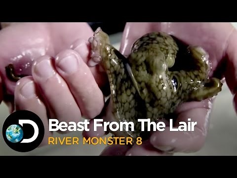 Beast From The Deep Water Lair | River Monsters S8E2