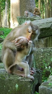 M.G. What is Libby doing with baby Jacee!! | Love Monkey