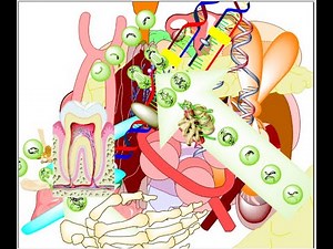 How to Draw Molecular Anatomy in ChemDraw | Mastering Anatomy in ChemDraw