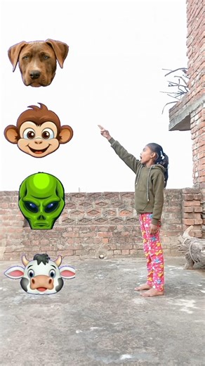 had to Dog, Monkey, Alien, Cow - Funny dance video