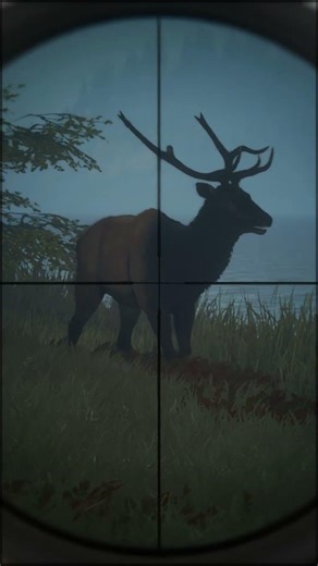 Hunting Roosevelt Elk in Layton Lakes | #thehuntercallofthewildgameplay