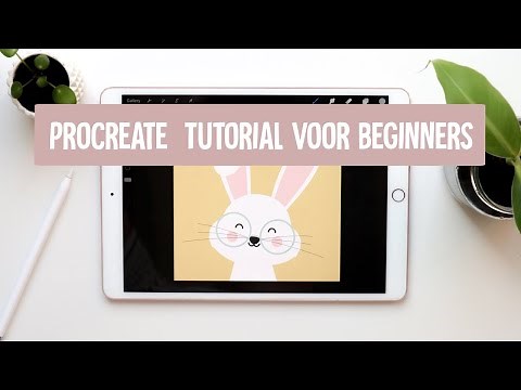 Procreate Tips & Tricks voor beginners | Tutorial | Nederlands