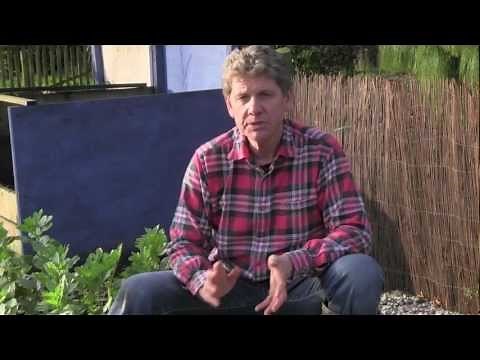 MYCORRHIZAL FUNGHI AND HOW TO USE IT