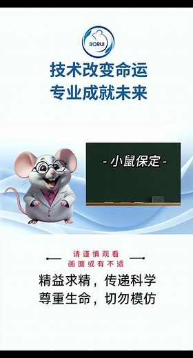 第2集|小鼠保定：全控制双手捉拿法 感谢Perry老师悉心指导，规范小鼠实验操作。应用视频中的的操作方法，我们能够安全地固定小鼠，并为后续实验操作提供便利。通过本视频，您将可以规范、熟练地进行双手捉拿操作。点赞加关注，科研不迷路！欢迎在评论区留言交流！#医学生 #动物实验 #小鼠实验 #实验室日常 #Perry
