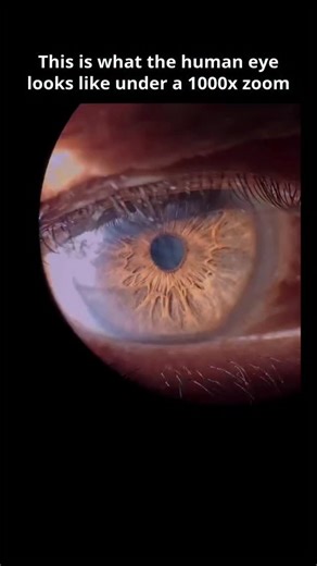Entrepreneur Trick | Investing on Instagram: "As the optometrist zooms in on the eye at 1000x magnification, he begins to see details far beyond a routine exam. Individual corneal cells become visible, including the epithelial and endothelial layers that maintain clarity and fluid balance. Fine nerve fibers and microscopic structures come into view, offering insight into the eye’s health. If he looks deeper, he might see layers of the retina or tiny blood vessels—revealing early signs of conditi