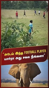 Trending Shorts Video #trendingreels #trending #trendingnow #trendingsongs #trendingaudio #trendings #trendingcouples👫 #trendingreelsvideo #trendingvideos #insta #instatrending #instatrend #vijaytv #zeetamil #kpybala #newtrend #newvibes #comedy | Smile Shares Info