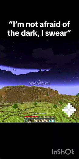 No dark corners allowed 💀! #minecraft #minecraftfunny