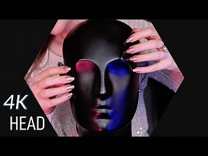 ASMR 4K Tapping & Scratching on Dummy Head, Face & Neck 💤 (NO TALKING) Sounds for Sleep & Study 2Hr