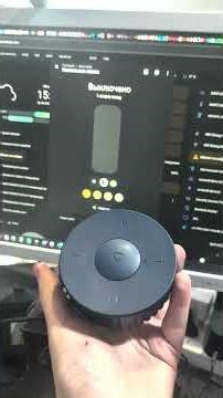 How the Sberboom smart speaker works in the Home Assistant smart home. #homeassistant