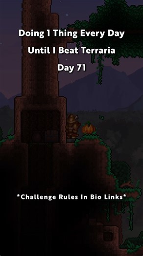 OneThingEverydayTerraria on Instagram: "Day 71 of Doing ONE Thing EVERY DAY Until I Beat Terraria #terraria #onethingaday #challange #foryou"