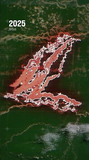 Deforestation of the Amazon rainforest seen from space 📡🌳