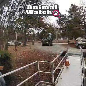 Is your front door this entertaining?! | Try Not to Laugh