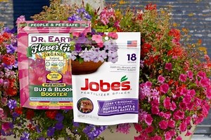 6 Best Fertilizer For Petunias And Geraniums | How And When To Use